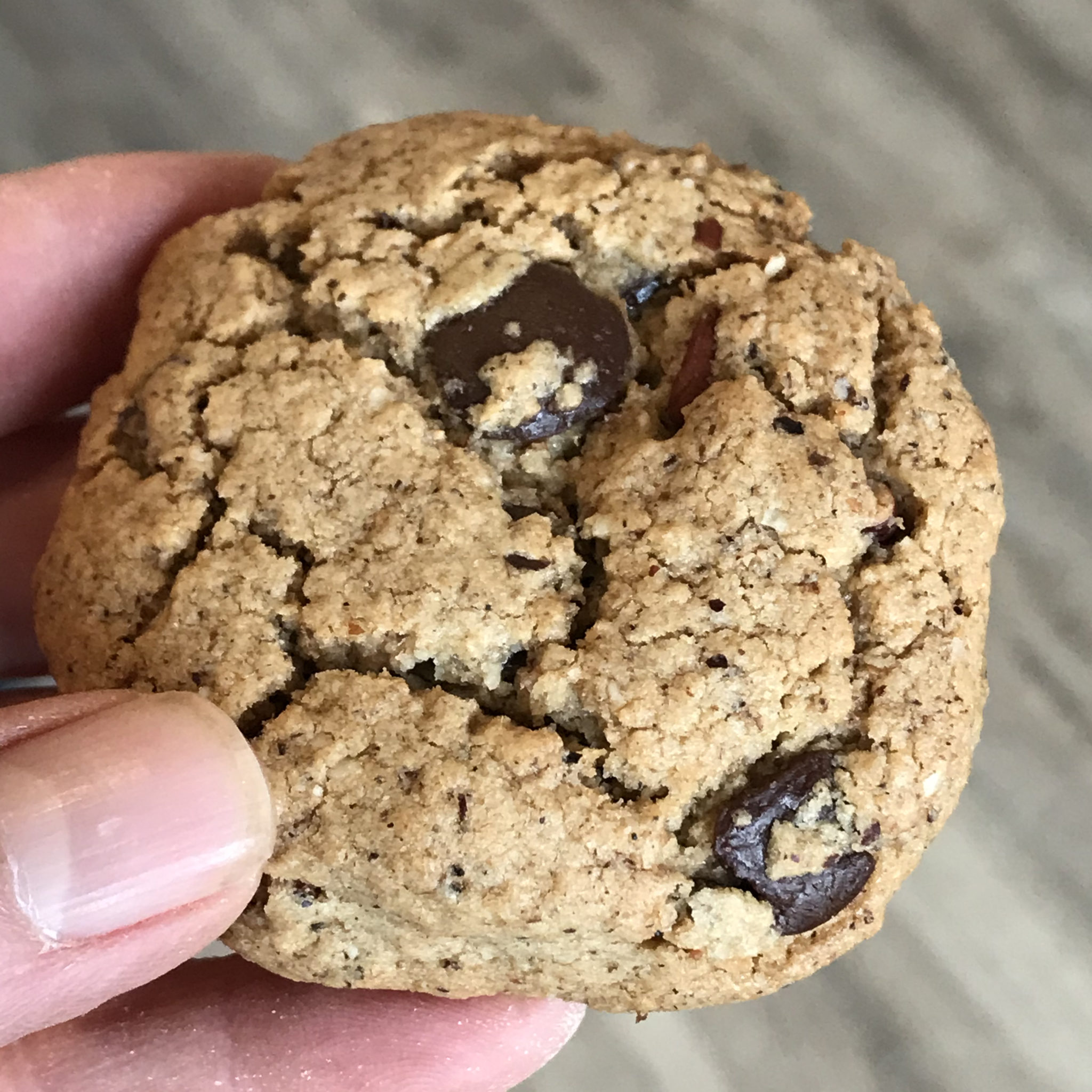 Hazelnut Chocolate Chip Cookie 3 Pack Paleo Vegan Delish Kitch