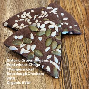 Buckwheat Chaga "Pumpernickel" Sourdough Crackers- Vegan
